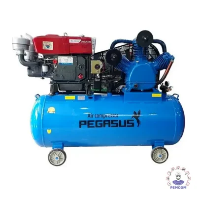 Máy nén khí chạy bằng dầu diesel Pegalion model TM-W-1.6/12.5-500L