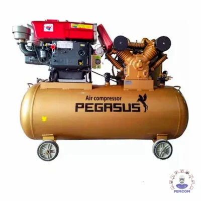 Máy nén khí chạy bằng dầu diesel Pegalion model TM-W-2.0/12.5-500L