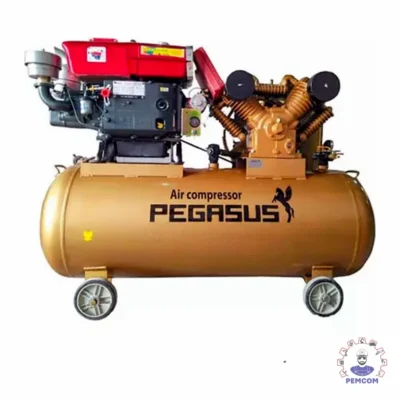 Máy nén khí chạy bằng dầu diesel Pegalion model TM-W-2.0/8-500L