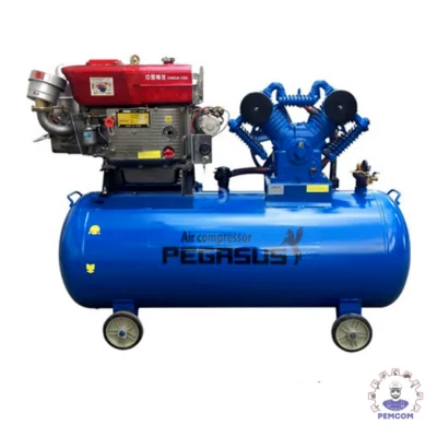 Máy nén khí đầu nổ chạy bằng xăng Pegalion model TM-V-0.25/8-120L