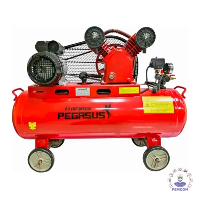 Máy nén khí dây đai Pegalion model TM-V-0.17/8-70L