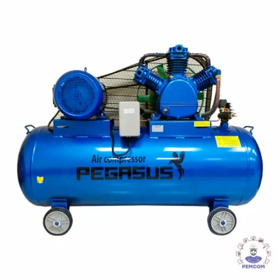 Máy nén khí dây đai Pegalion model TM-W-0.36/8-120L (220V)