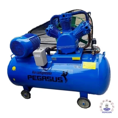 Máy nén khí dây đai Pegalion model TM-W-1.6/8-500L (380V)