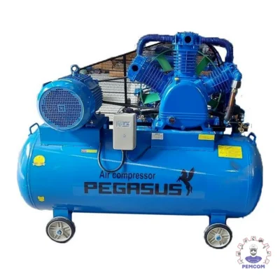 Máy nén khí dây đai Pegalion model TM-W-2.0/12.5-500L (380V)